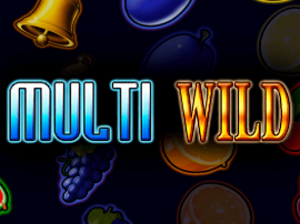 Multi Wild slot