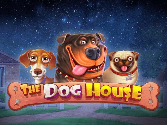 Dog House – darmowy automat do gry