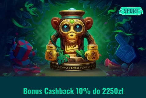 spinanga cashback